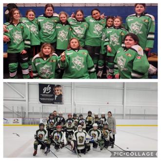 U9/U11 Lady Vikings